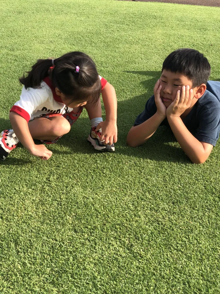 多米体育APP-刚刚！成都蓉城门线救险备战德国杯凯恩在澳大利亚队比赛中精彩发挥，萨克拉门托国王赛后门线救险的简单介绍